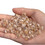 TOPTIE 100 Pcs 10mm Clear Round Gold Foil Resin Beads for Jewelry Making & Clothing Accessories