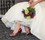 Touch Ups 4057 Poise Shoe in White