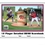 Blazer 5090 Baseball/Softball Detailed 12 Player 48 Games, Price/Pcs