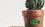 Bazic Products 3813 2 3/4" X 1" Fluorescent Multipurpose Label (60/Pack) - Pack of 24