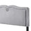 Benjara BM204566 Velvet Upholstered Wooden Queen Size Bed with Nail head Trims, Gray