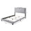 Benjara BM204566 Velvet Upholstered Wooden Queen Size Bed with Nail head Trims, Gray