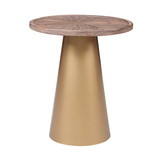Benjara BM209076 Round Wooden Top Corner Table with Metal Conical Base, Large, Brown and Gold