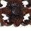 Benjara BM210438 Hand Carved Wooden Floating Wall Shelf in Floral Design, Brown