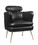 Benjara BM214953 Leatherette Accent Chair with Shelter Sloped Armrest, Black