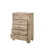 Benjara BM218579 Wooden Chest with 5 Storage Drawers, Brown