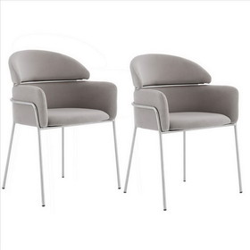 Benjara BM240715 Curved Metal Dining Chair with Sleek Tubular Legs, Set of 2, Gray and Silver