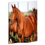 Benjara BM26507 3 Panel Foldable Wooden Screen with Horse Print, Brown