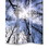 Benjara BM26561 3 Panel Foldable Canvas Screen with Tree Print, Black
