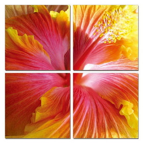 Benjara BM273082 24 Inch Modern 4 Panel Photo Canvas Wall Art, Hibiscus Flower, Red, Yellow