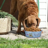 Boomer N Chaser BNC-10006-2 Multi Print Stainless Steel Dog Bowl By Bella N Chaser-Set of 2 - BM206911
