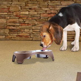 Boomer N Chaser BNC-14020 Plastic Framed Double Diner Pet Bowl in Stainless Steel, Small, Gold and Silver