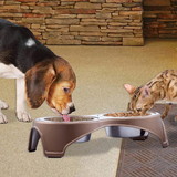 Boomer N Chaser BNC-14021-2 Plastic Framed Double Diner Pet Bowl in Stainless Steel, Large, Gold and Silver-Set of 2 - BM206888