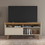 The Urban Port UPT-271304 54 Inch Wooden TV Stand with 1 Sliding Door and 3 Compartments, Brown and Off White