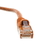 CableWholesale 10X6-03100.5 Cat5e Orange Ethernet Patch Cable, Snagless/Molded Boot, 6 inch