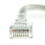 CableWholesale 11X8-12125 Plenum Cat6 Gray Ethernet Patch Cable, CMP, 23 AWG, Bootless, 25 foot