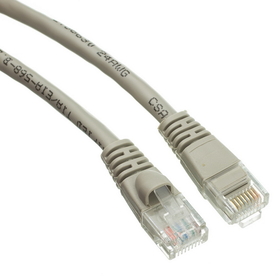 CableWholesale 13X6-02101 Cat6a Gray Ethernet Patch Cable, Snagless/Molded Boot, 500 MHz, 1 foot