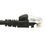 CableWholesale 13X6-02201 Cat6a Black Ethernet Patch Cable, Snagless/Molded Boot, 500 MHz, 1 foot