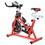 Costway 03851269 Exercise Bike with 30lbs Steel Flywheel