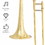 Costway 05983624 B Flat Trombone Golden Brass with Mouthpiece