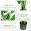 Costway 09417836 2 Pieces 5 Feet Artificial Monstera Tree Set