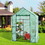 Costway 25908716 Walk-in Greenhouse 56 x 56 x 77 Inch Gardening with Observation Windows