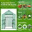 Costway 25908716 Walk-in Greenhouse 56 x 56 x 77 Inch Gardening with Observation Windows
