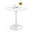 Costway 29587643 32 Inch Modern Tulip Round Dining Table with MDF Top-White