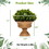 Costway 31465972 4 Pack Artificial Boxwood Topiary Trees