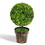 Costway 46781395 2 Pieces 24 Inch Artificial Boxwood Topiary Ball Tree for House and Office