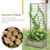 Costway 54130867 Raised Garden Bed with Trellis for Climbing Plants