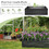Costway 56913247 71 Inch Galvanized Metal Raised Garden Bed for Garden Backyard-Dark Gray