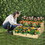Costway 63910824 3-Tier Raised Garden Bed Wood Planter Kit for Flower Vegetable Herb