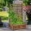 Costway 67843951 Solid Free Standing Wood Planter Box with Trellis for Garden