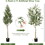 Costway 68195273 6 Feet 2-Pack Artificial Olive Tree in Cement Pot
