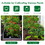 Costway 69174503 4 Pack Garden Trellis for Climbing Plants for Flower Vegetable