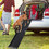 Costway 76143028 63 Feet Upgrade Folding Pet Ramp Portable Dog Ramp with Steel Frame