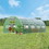 Costway 81923754 20 x 10 x 6.6 Feet Greenhouse with  Windows and Doors for Outdoor-Green