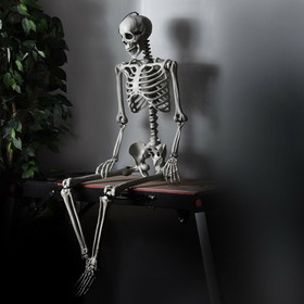 Costway 83590624 5.4 Feet Halloween Skeleton Life Size Realistic Full Body Hanging