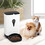 Costway 85261970 Automatic Pet Feeder for Dog Cat Food Dispenser