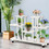 Costway 38497150 4-Tier Wood Casters Rolling Shelf Plant Stand