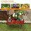 Costway 28047651 Wooden Wagon Plant Bed With Wheel for Garden Yard-Red