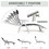 Costway 42089713 Outdoor Lightweight Folding Chaise Lounge Chair-Black