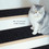 Costway 81396254 15Pcs Indoor Non-Slip Stair Carpet Mats for Wooden Steps-Gray