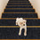 Costway 60531794 15 Pieces 30 x 8 Inch Slip Resistant Soft Stair Treads Carpet-Black
