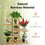 Costway 03984157 5-tier 10 Potted Bamboo Plant Stand-Natural