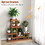 Costway 24798163 6 Tier Wood Plant Stand with High Low Structure
