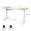 Costway 57624190 55 x 28 Inch Electric Adjustable Sit to Stand Desk with USB Port-Natural