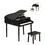 Costway 13094875 30-Key Wood Toy Kids Grand Piano with Bench & Music Rack-Black