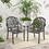 Costway 19457283 2 Pieces Patio Cast Aluminum Dining Chairs with Armrests-Bronze